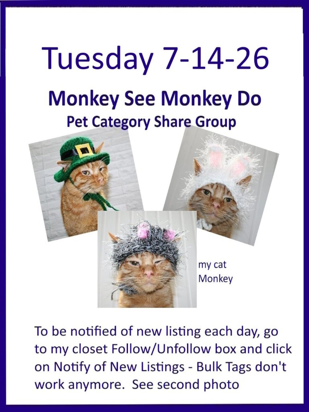 Tuesday 7-14-26 Dog Cat Small Animal Pet Share Discussion Group